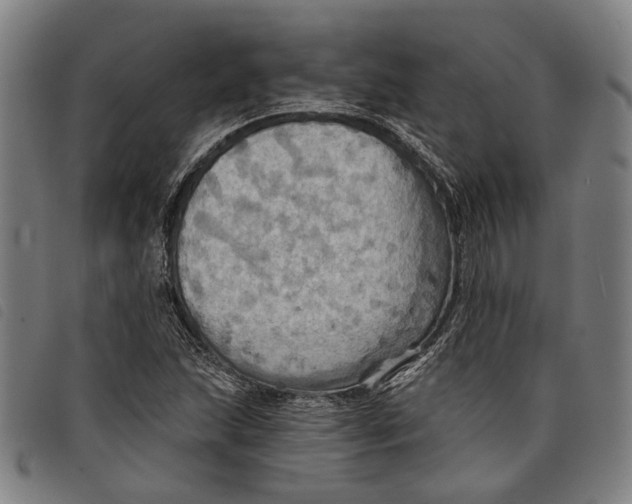 X0000097831215200804041414