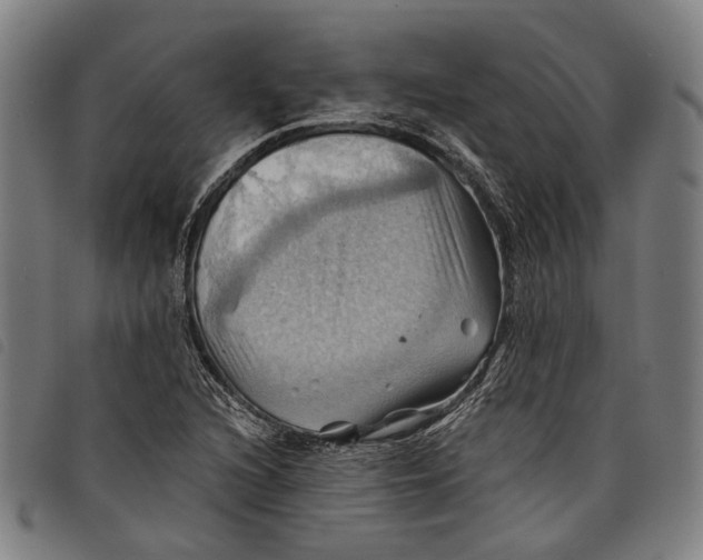 X0000097831216200804041414