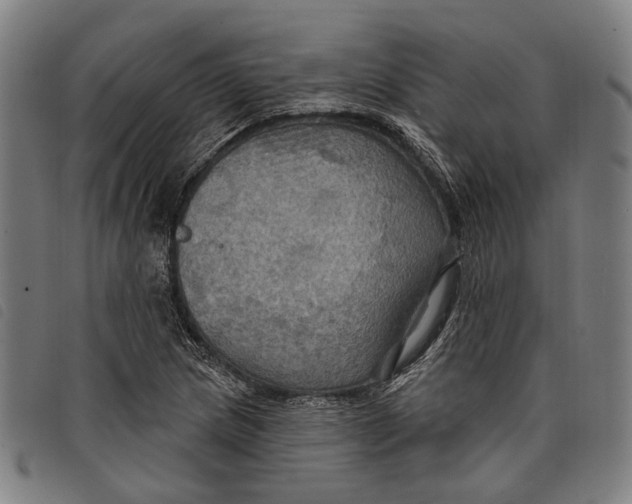 X0000097831217200804041414