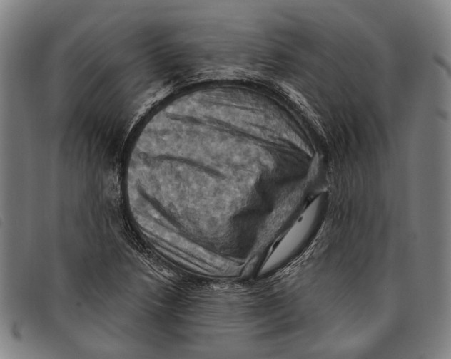 X0000097831218200804041414