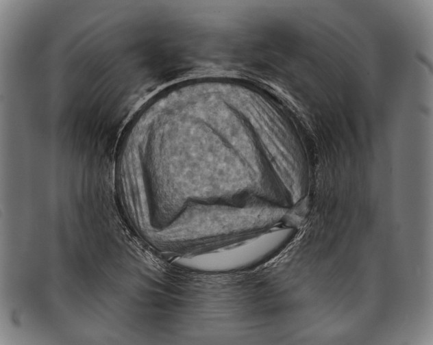 X0000097831220200804041414