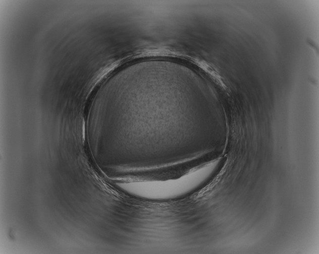 X0000097831221200804041414