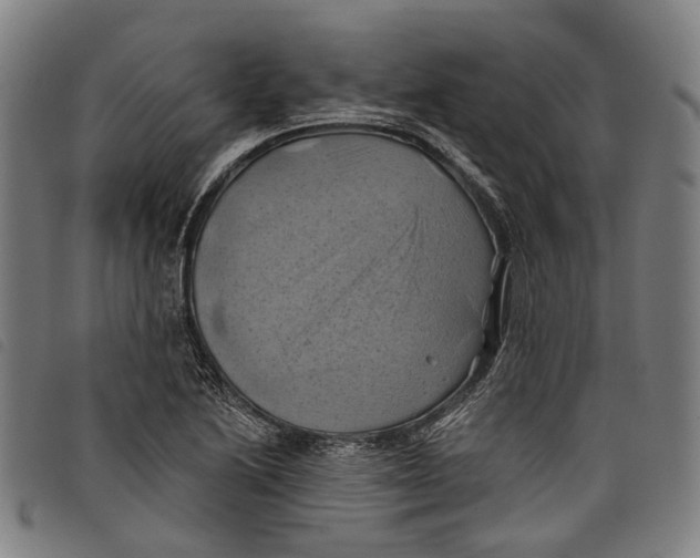 X0000097831222200804041414