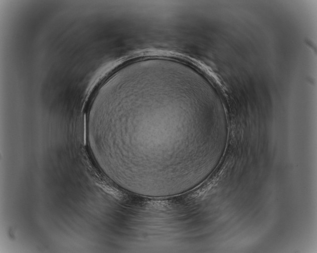 X0000097831223200804041414