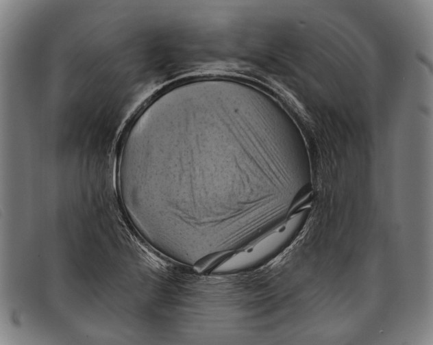 X0000097831224200804041414