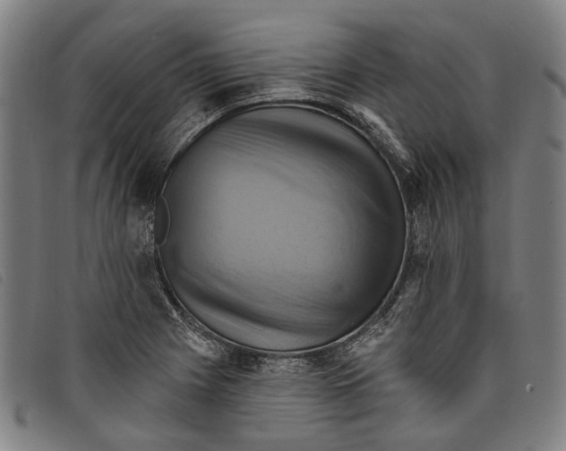 X0000097831225200804041414