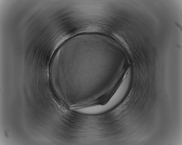 X0000097831226200804041414