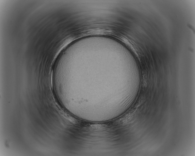 X0000097831227200804041414