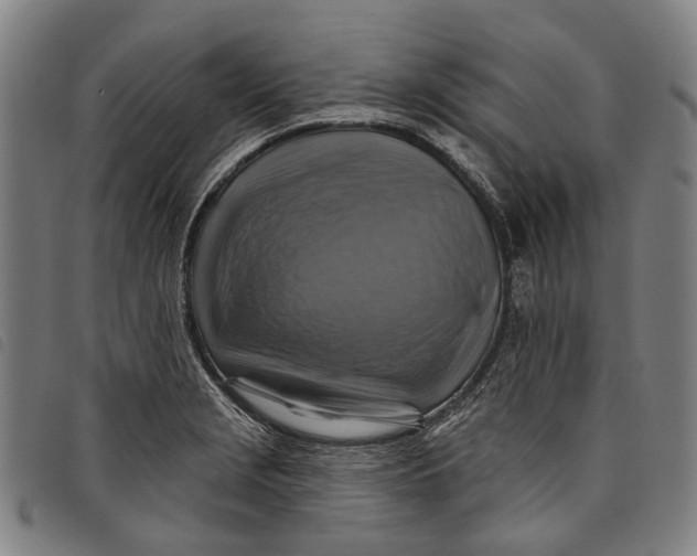 X0000097831229200804041414