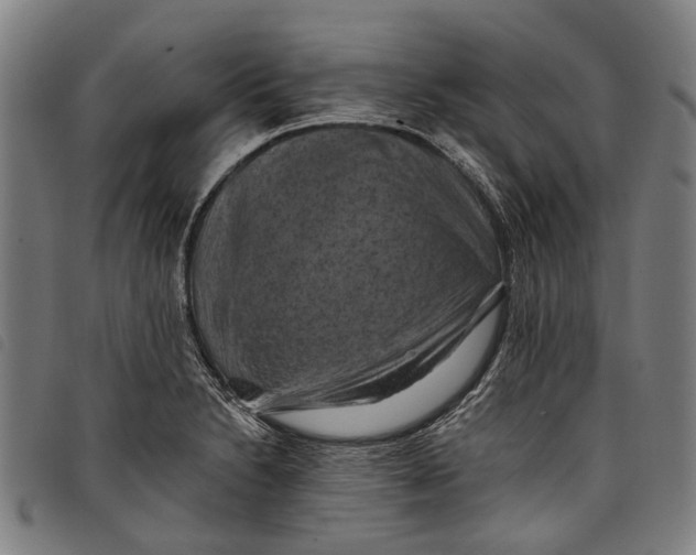 X0000097831230200804041414