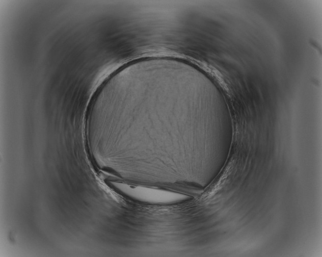 X0000097831231200804041414