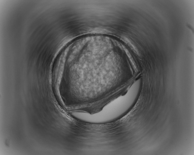 X0000097831232200804041414