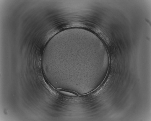 X0000097831233200804041414