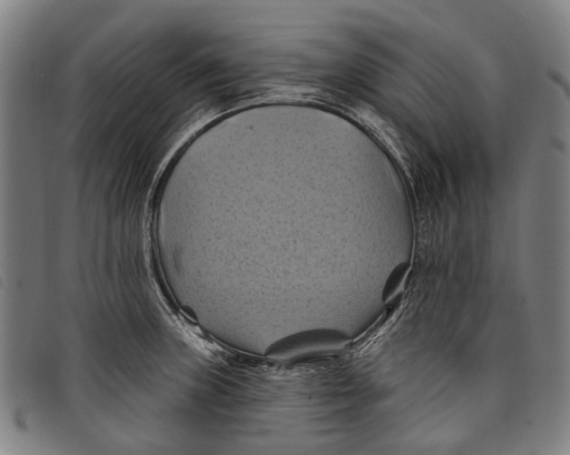 X0000097831235200804041414