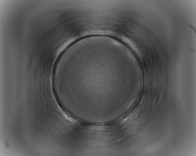 X0000097831237200804041414