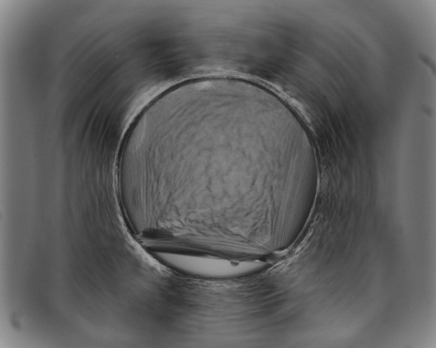 X0000097831239200804041414