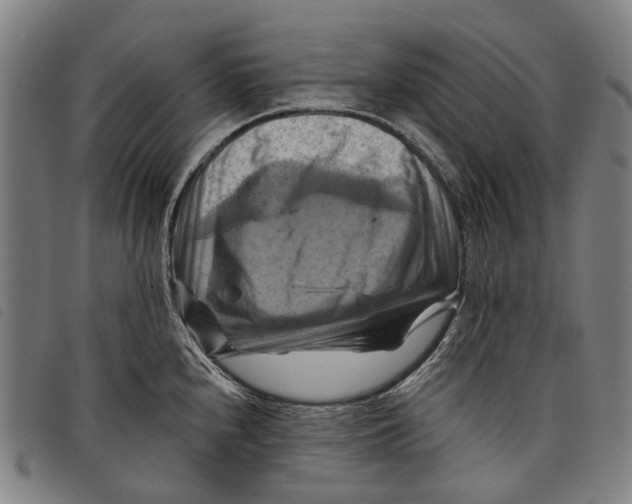 X0000097831240200804041414