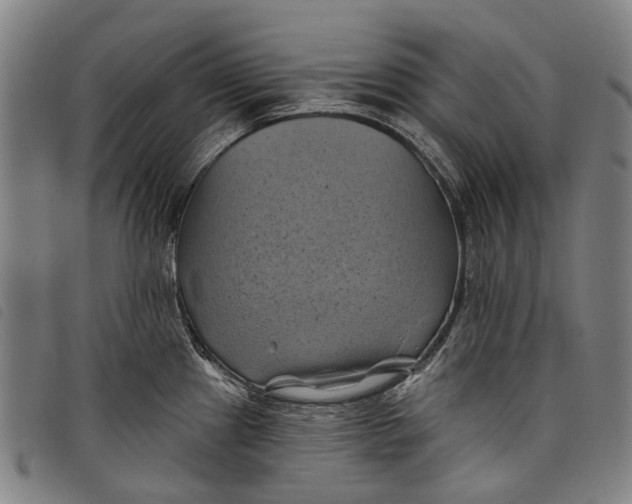 X0000097831241200804041414