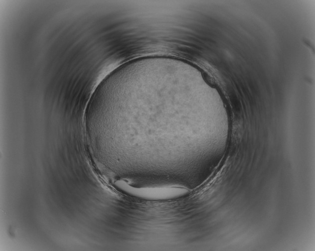 X0000097831242200804041414