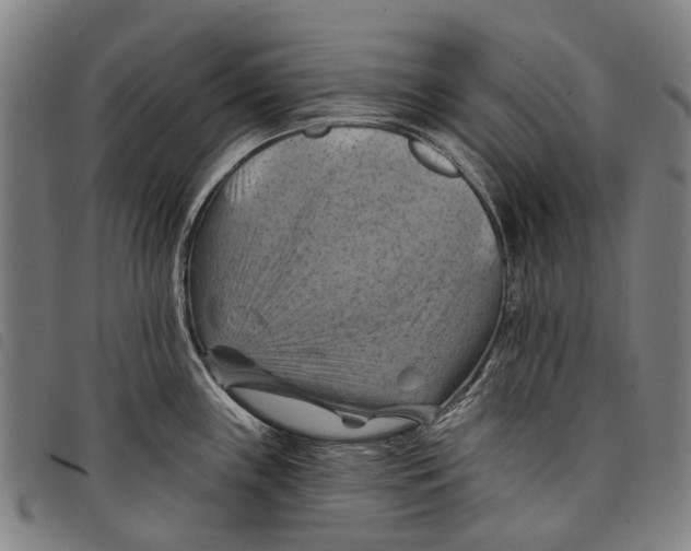 X0000097831243200804041414