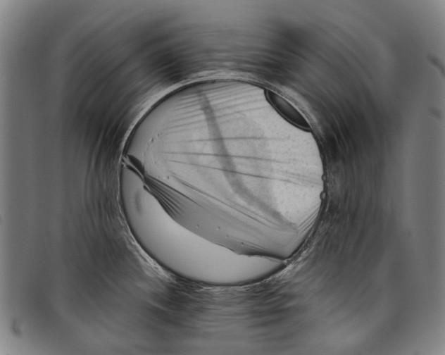 X0000097831244200804041414