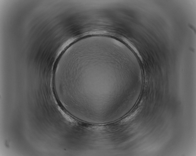 X0000097831245200804041414