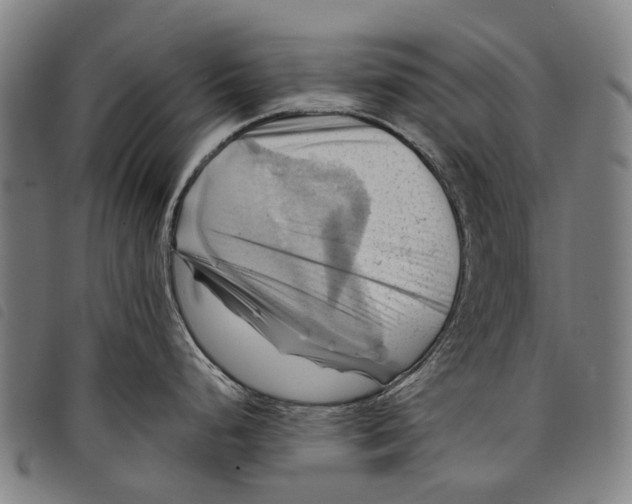 X0000097831248200804041414