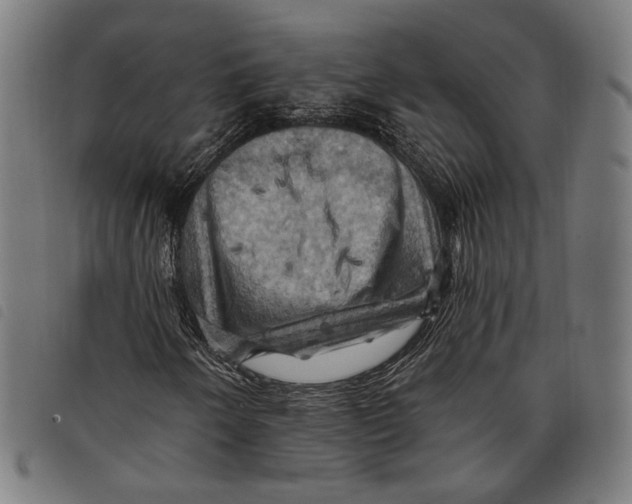 X0000097831250200804041414