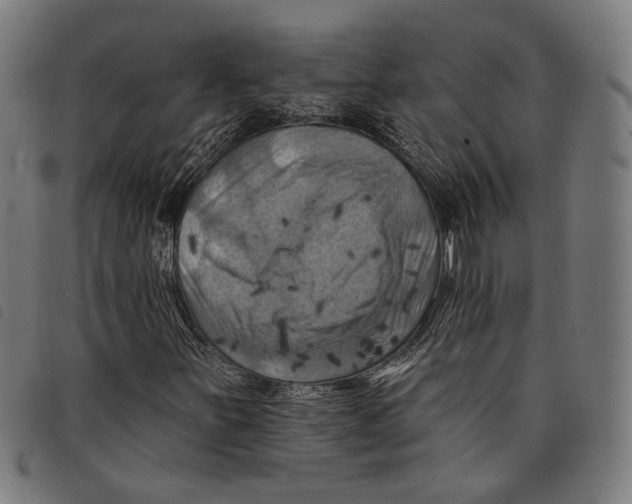 X0000097831251200804041414