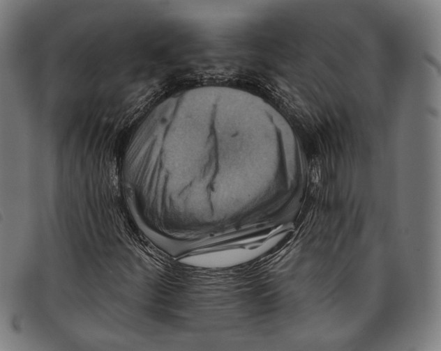 X0000097831252200804041413