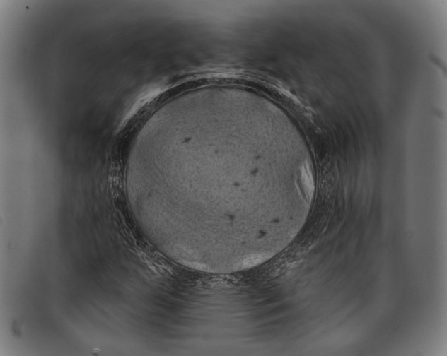 X0000097831255200804041413