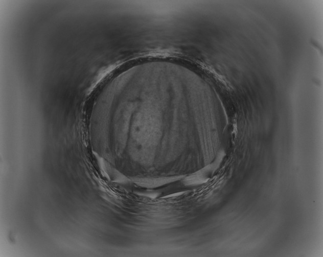 X0000097831256200804041413