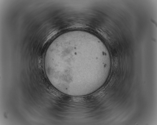 X0000097831258200804041413