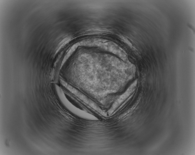 X0000097831259200804041413