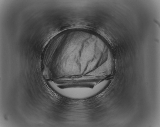 X0000097831260200804041413