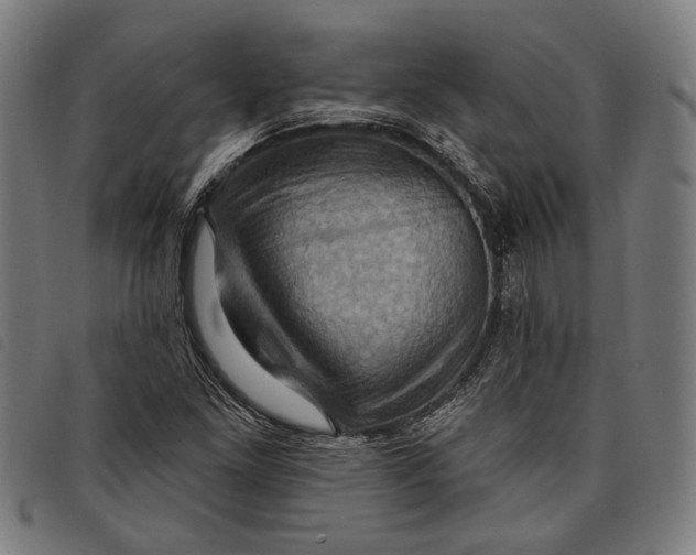 X0000097831261200804041413