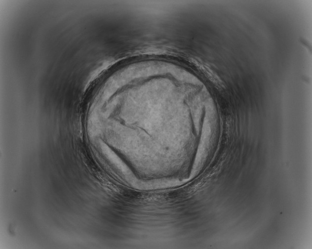 X0000097831262200804041413