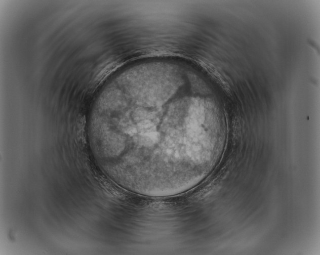 X0000097831265200804041413