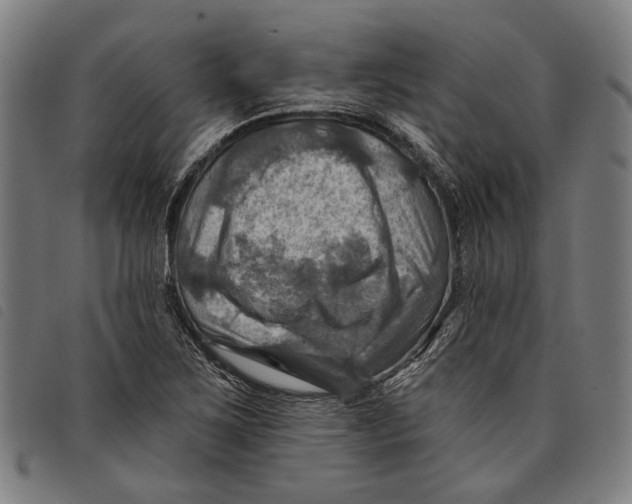 X0000097831267200804041413