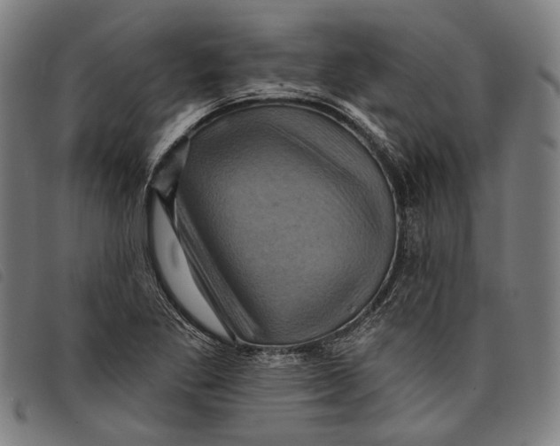 X0000097831269200804041413