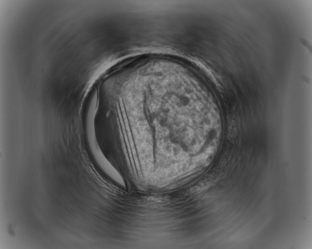 X0000097831271200804041413