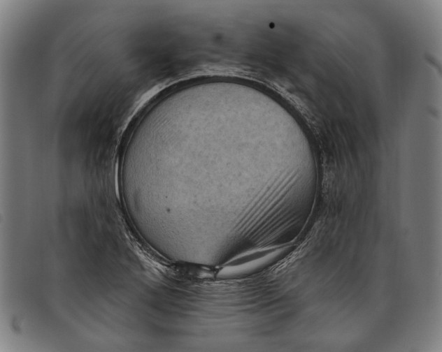 X0000097831272200804041413