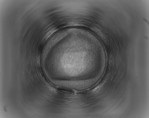 X0000097831273200804041413