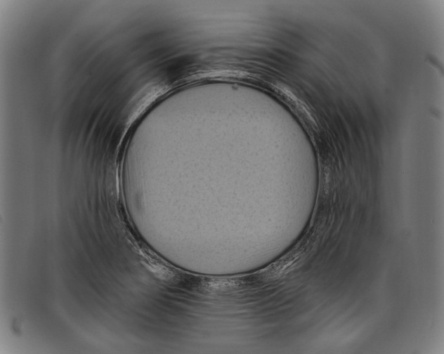 X0000097831274200804041413