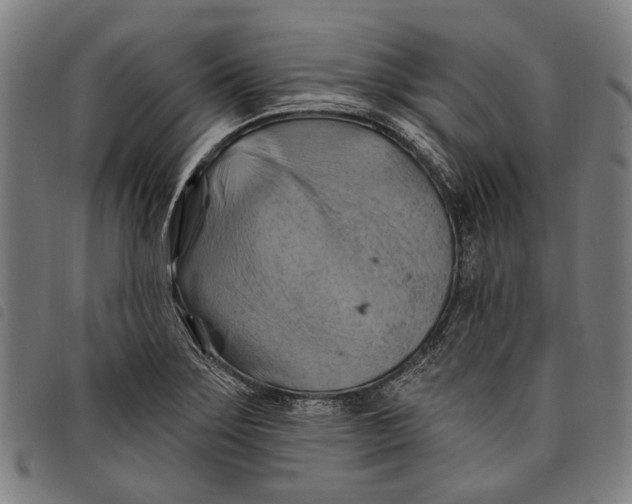 X0000097831275200804041413