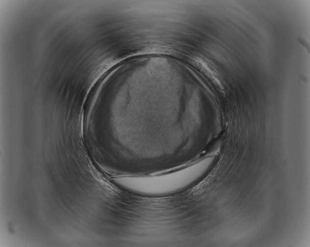 X0000097831276200804041413