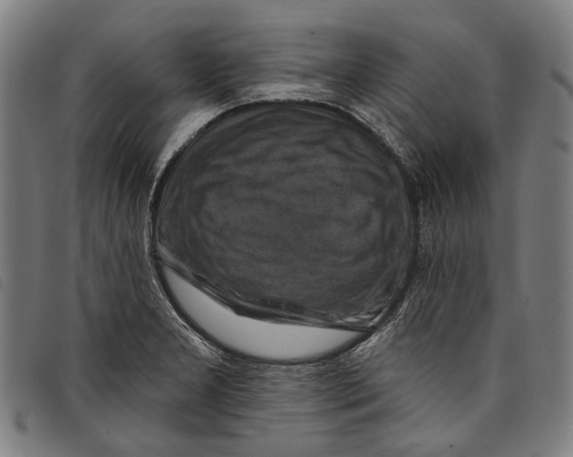 X0000097831277200804041413