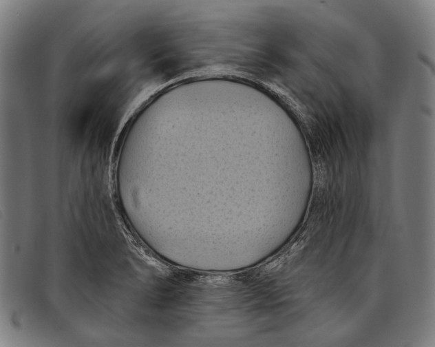 X0000097831278200804041413