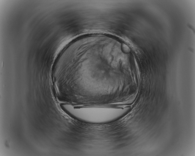 X0000097831279200804041413