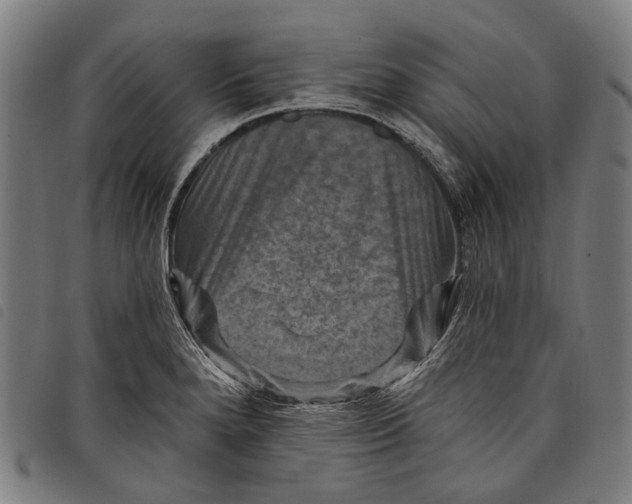 X0000097831280200804041413